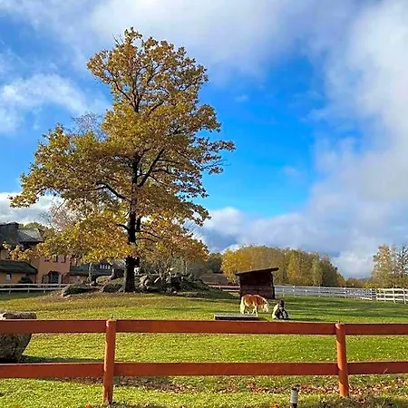 Stajnia Gostar Jelenia Góra
