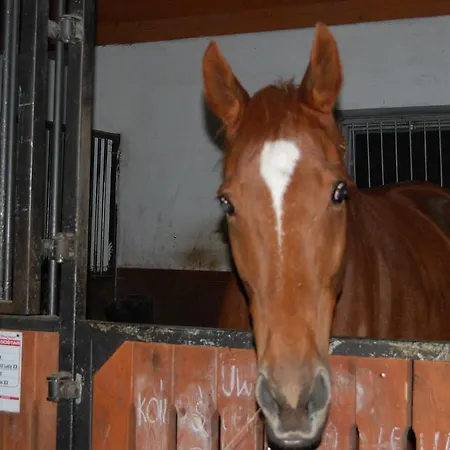 Aparthotel Gostar Jelenia Góra