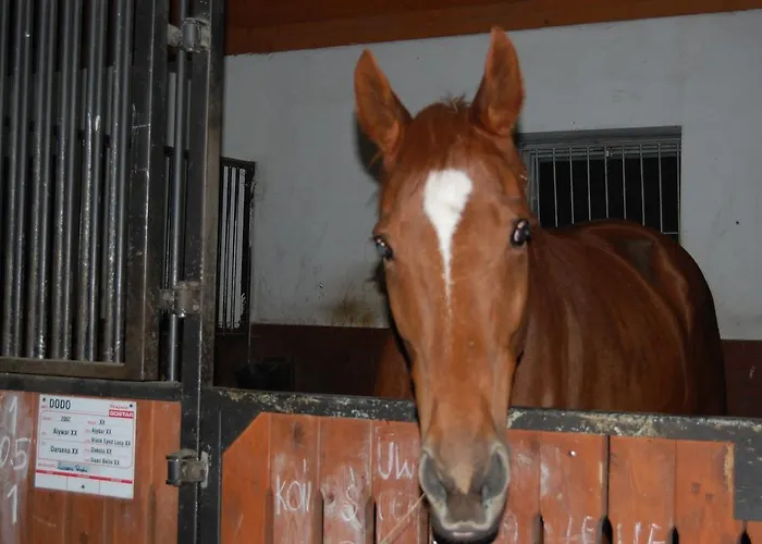 Apart-hotel Stajnia Gostar Jelenia Góra