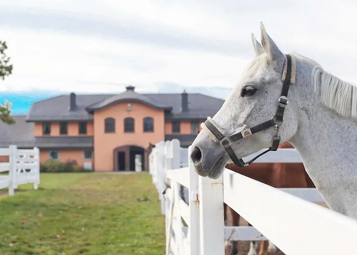 Apart-hotel Stajnia Gostar